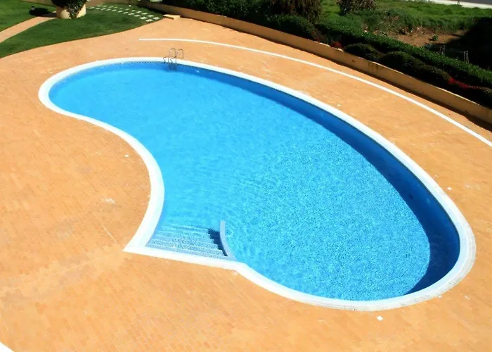 Primavera Da Rocha * 포티마오